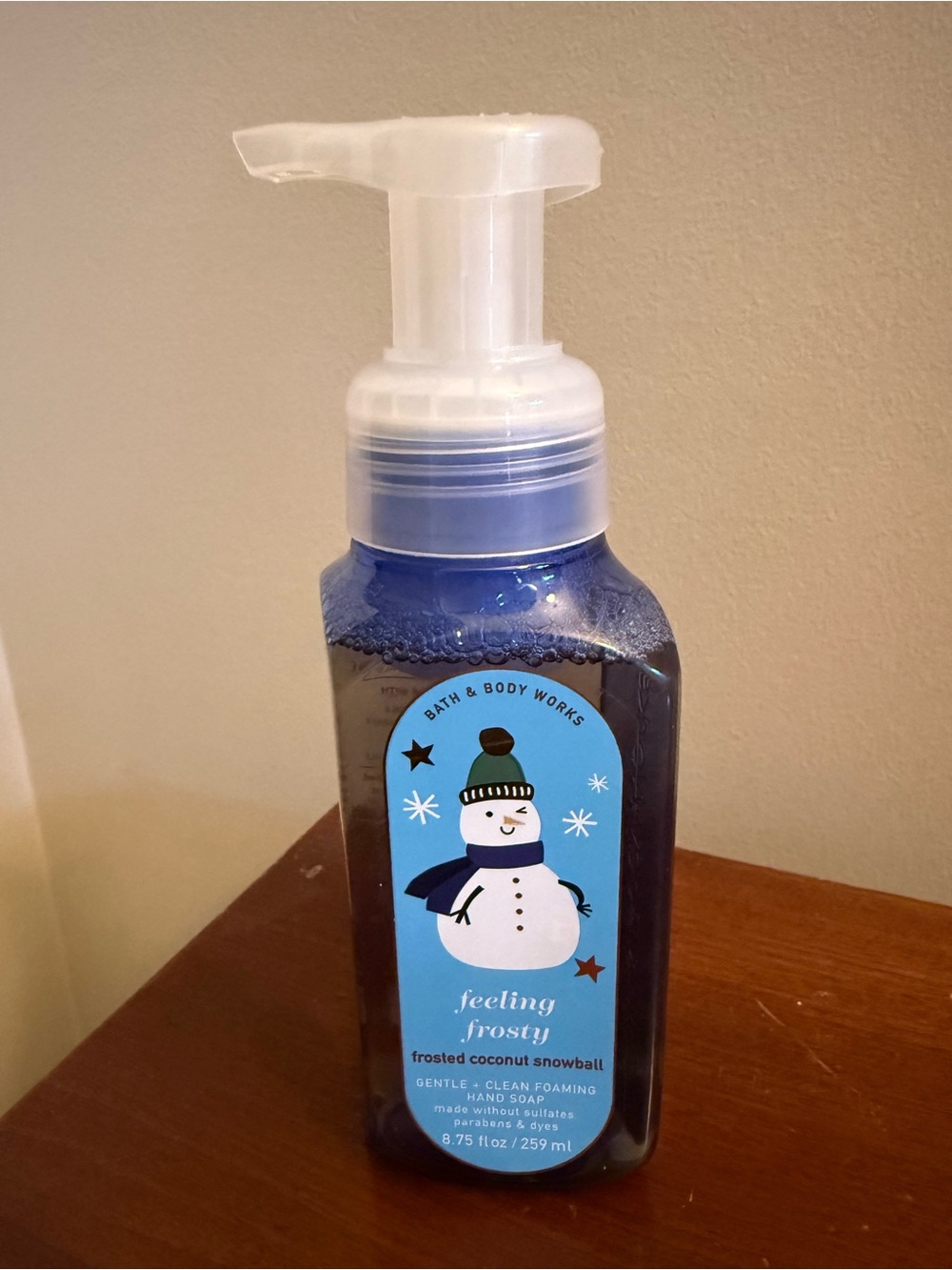 Bath & Body Works Feeling Frosty Gentle Foaming Hand Soap 8.75 fl oz